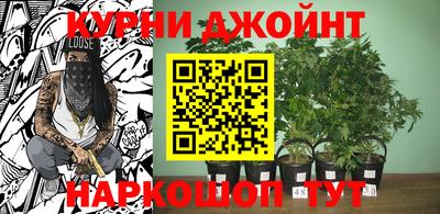 дживик Аргун