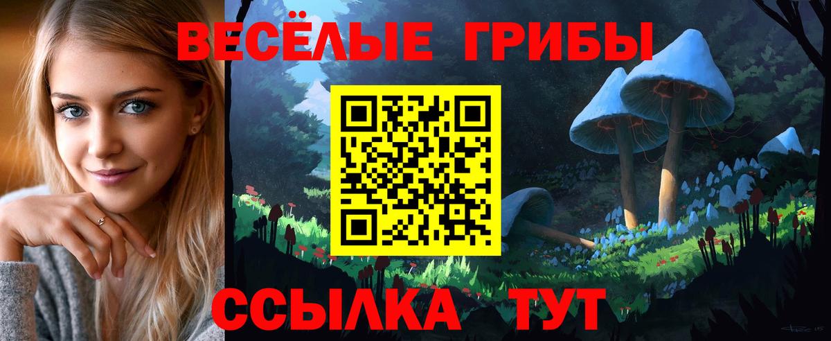 Галлюциногенные грибы MAGIC MUSHROOMS Вышний Волочёк